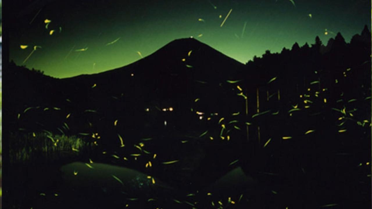 Kyukamura Fuji Fujinomiya Luaran gambar
