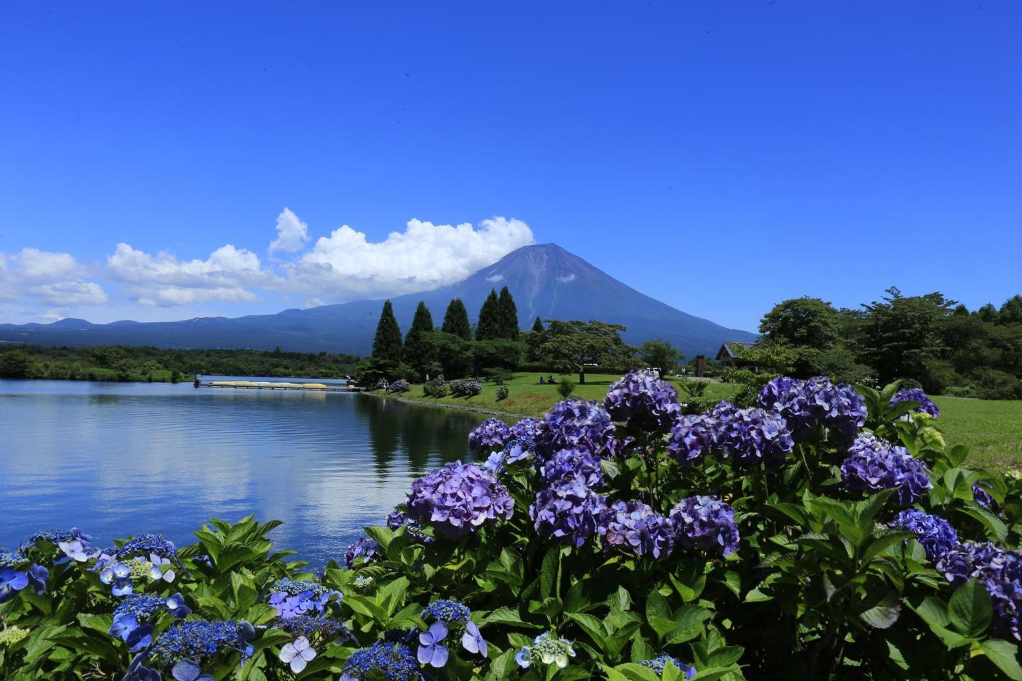 Kyukamura Fuji Fujinomiya Luaran gambar