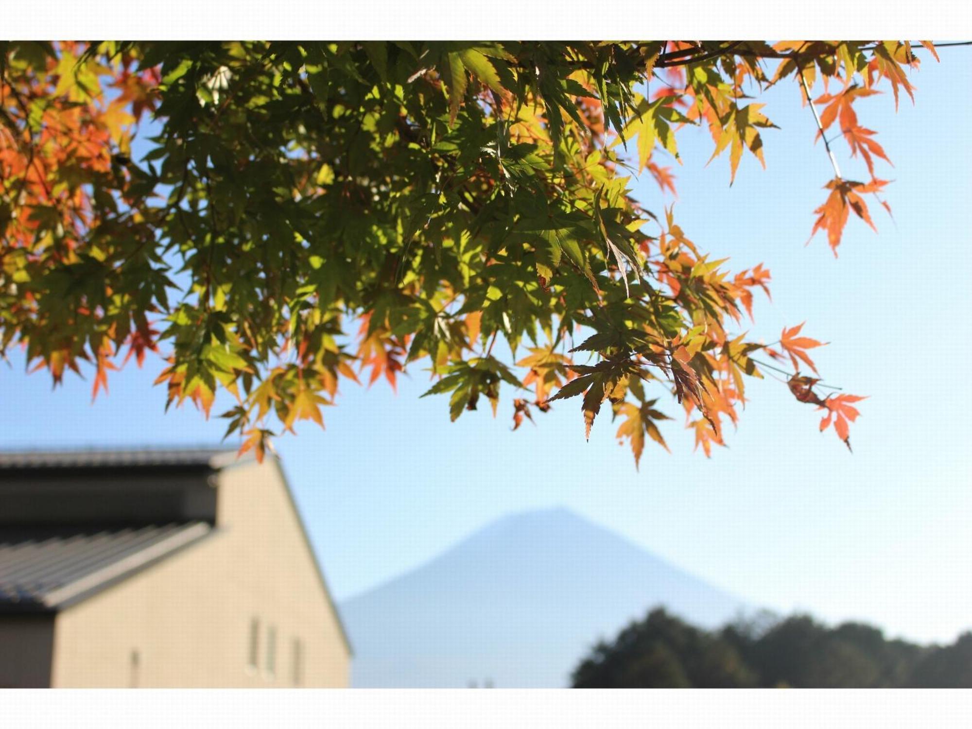 Kyukamura Fuji Fujinomiya Luaran gambar