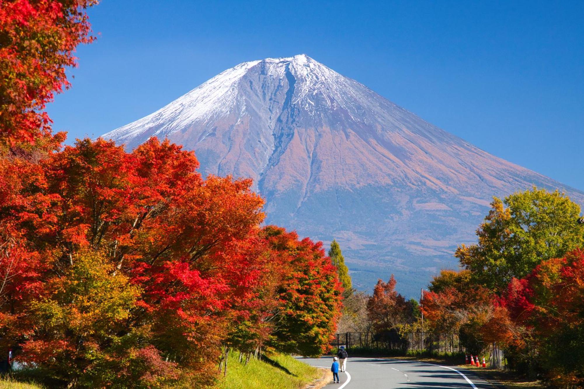 Kyukamura Fuji Fujinomiya Luaran gambar
